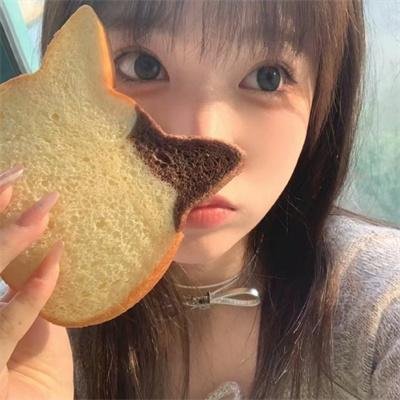 一只龟的进化史